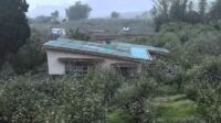 Kebun Apel di Desa Tulungrejo, Kecamatan Bumiaji, Kota Batu. (dik Demi Bertahan Hidup, Petani Apel Terpaksa "Pensiunkan" Kebunnya