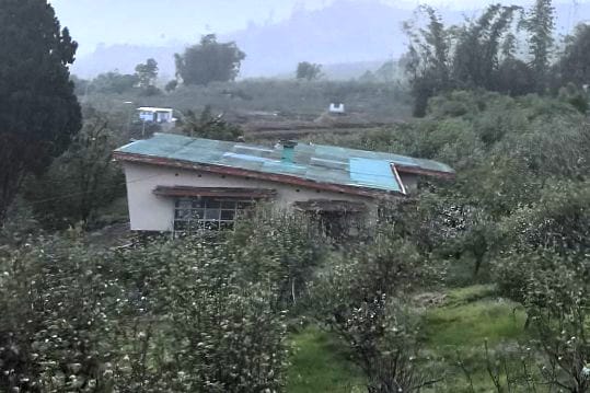 Kebun Apel di Desa Tulungrejo, Kecamatan Bumiaji, Kota Batu. (dik Demi Bertahan Hidup, Petani Apel Terpaksa "Pensiunkan" Kebunnya