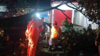 Proses evakuasi korban, kendaraan dan pembersihan batang pohon. (Ist_11zon Truk Kontainer Tabrak Pohon di Kepanjen, Batang Pohon Timpa Mobil dan Motor