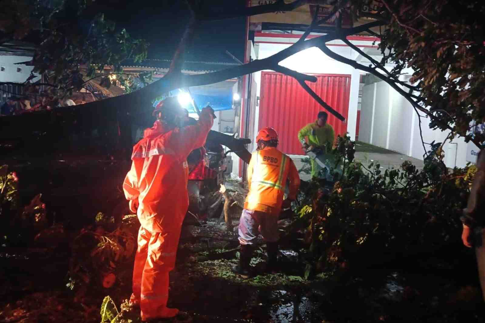 Truk Kontainer Tabrak Pohon di Kepanjen, Batang Pohon Timpa Mobil dan Motor
