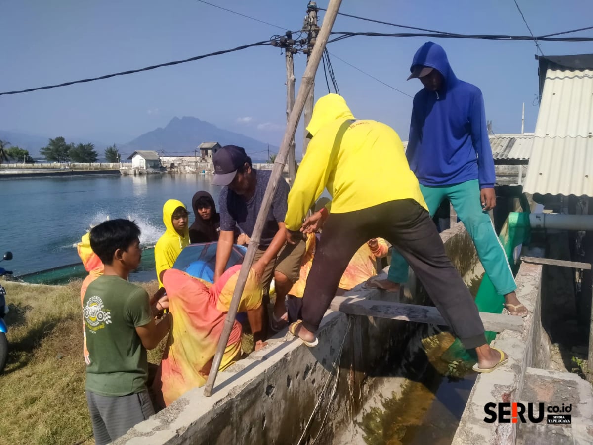 Satpam Tambak di Situbondo Ditemukan Meninggal Terlentang di Tepi Tambak