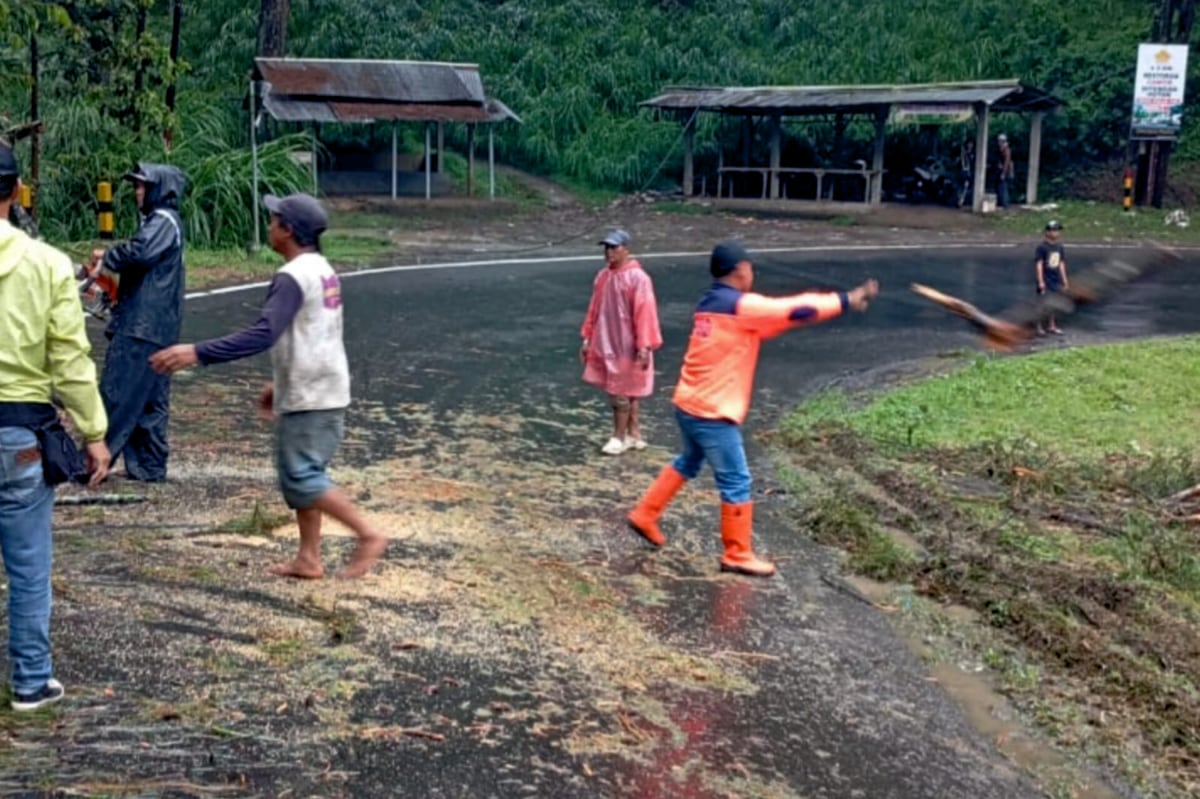 Proses evakuasi pohon tumbang di Jalan Raya Provinsi Malang - Kediri, Desa Jombok, Kecamatan Ngantang. (ist) Pohon Tumbang Memacetkan Akses Jalan Provinsi Malang - Kediri di Kecamatan Ngantang