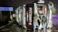 Bus PO Haryanto mengalami kecelakaan. (ist) Tiga Orang Gugur Usai Bus PO Haryanto Terguling di Tol Semarang–Batang