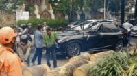 Kondisi mobil korban usai tertimpa pohon. (ist) Mantan Direktur Danareksa Hary Nugroho Meninggal Dunia Usia Mobilnya Tertimpa Pohon