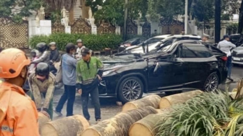 Kondisi mobil korban usai tertimpa pohon. (ist) Mantan Direktur Danareksa Hary Nugroho Meninggal Dunia Usia Mobilnya Tertimpa Pohon