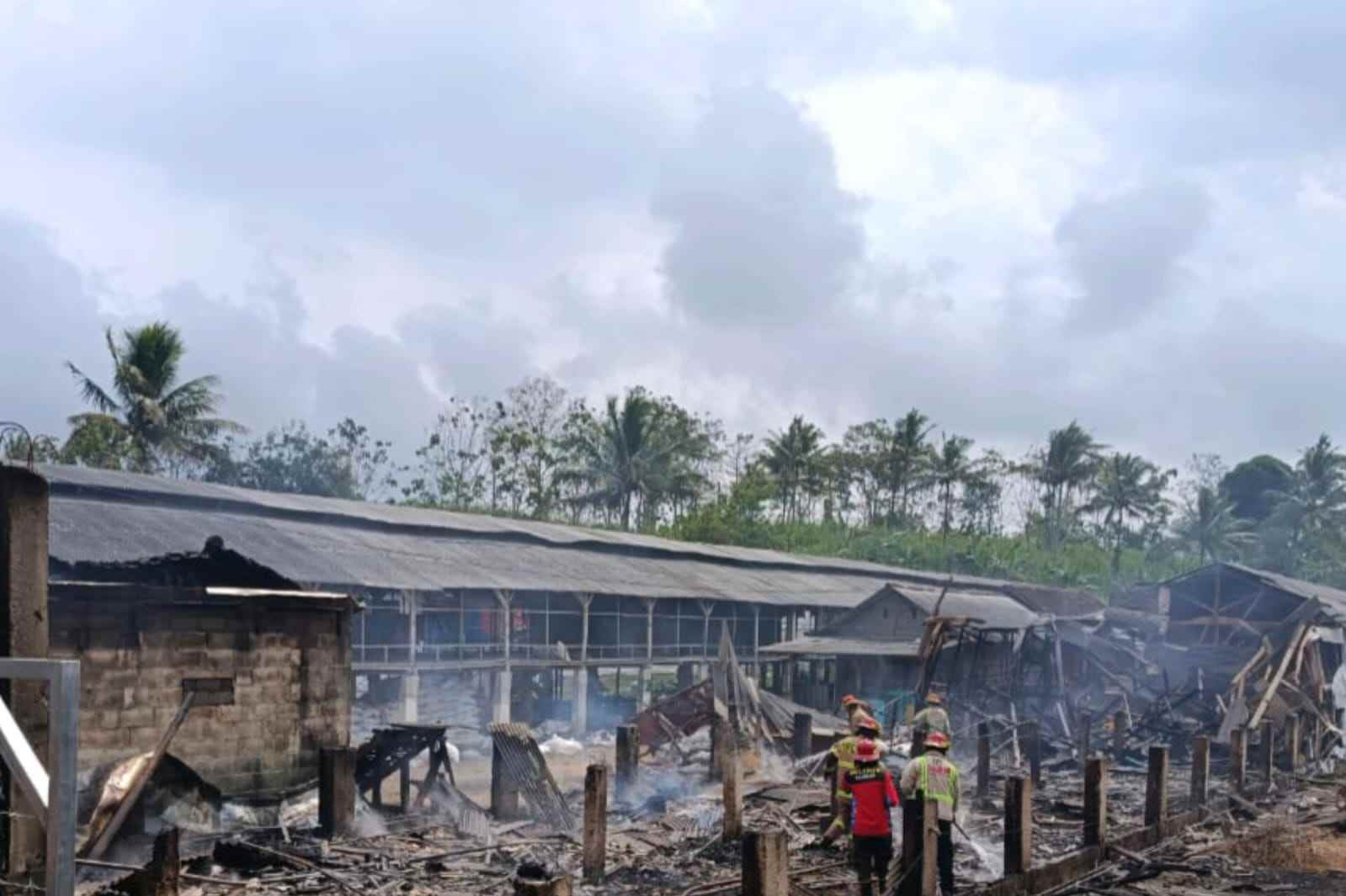 Kandang Ayam di Kalipare Dilalap Api, Seorang Penjaga Alami Luka Bakar