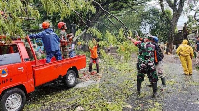 Babinsa Buring Bantu Evakuasi Pohon Tumbang di Depan SMPN 10