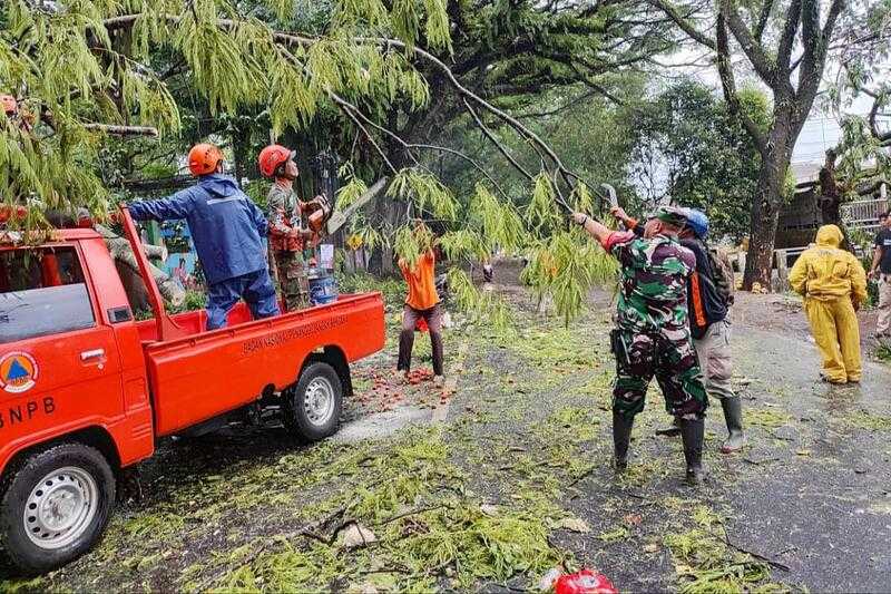 Babinsa Buring Bantu Evakuasi Pohon Tumbang di Depan SMPN 10