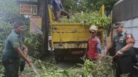 Babinsa Klojen Dampingi DLH Kota Malang Pangkas Ranting Pohon di Jalan Utama