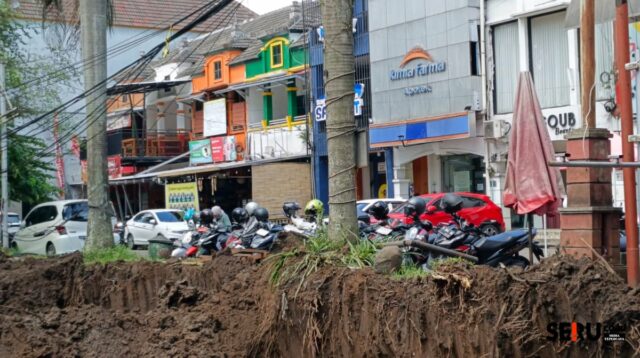 Proyek Drainase Suhat Kikis Akar Pohon Dikhawatirkan Tumbang, Kontraktor Angkat Bicara