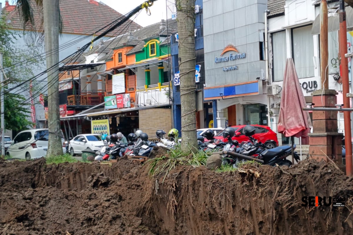 Kondisi akar pohon yang terkikis dampak proyek drainase Suhat. (bas) Proyek Drainase Suhat Kikis Akar Pohon Dikhawatirkan Tumbang, Kontraktor Angkat Bicara