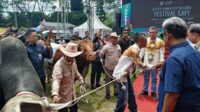 Mentan Salurkan Bantuan Pertanian ke Jember Saat Buka Festival Sapi