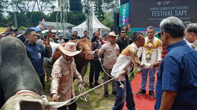 Mentan Salurkan Bantuan Pertanian ke Jember Saat Buka Festival Sapi