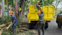 Babinsa Buring bantu DLH Kota Malang pangkas dahan pohon di depan SMPN 10. (ist) Babinsa Buring Bantu DLH Kota Malang Pangkas Dahan Pohon di Depan SMPN 10