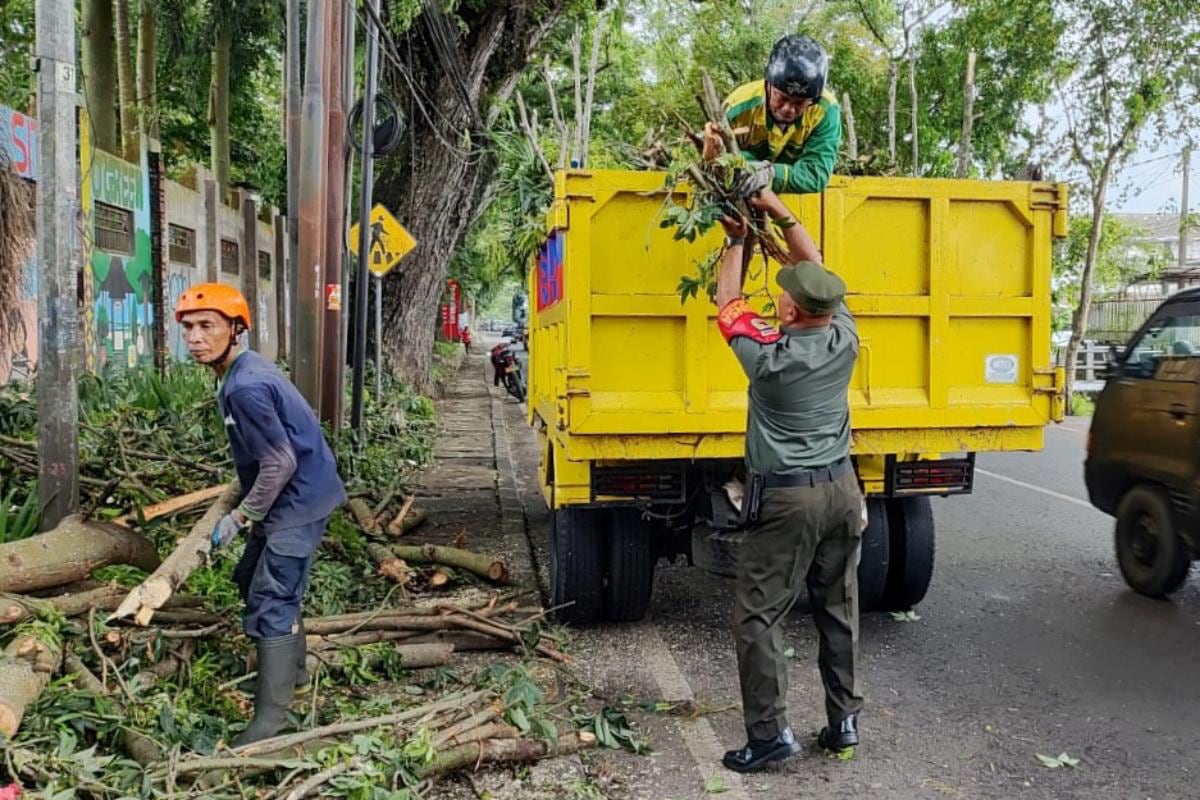 Babinsa Buring bantu DLH Kota Malang pangkas dahan pohon di depan SMPN 10. (ist) Babinsa Buring Bantu DLH Kota Malang Pangkas Dahan Pohon di Depan SMPN 10