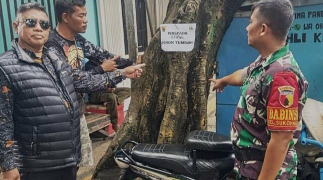 Babinsa Sukoharjo Mitigasi Pasang Tanda Bahaya Pohon Rawan Tumbang
