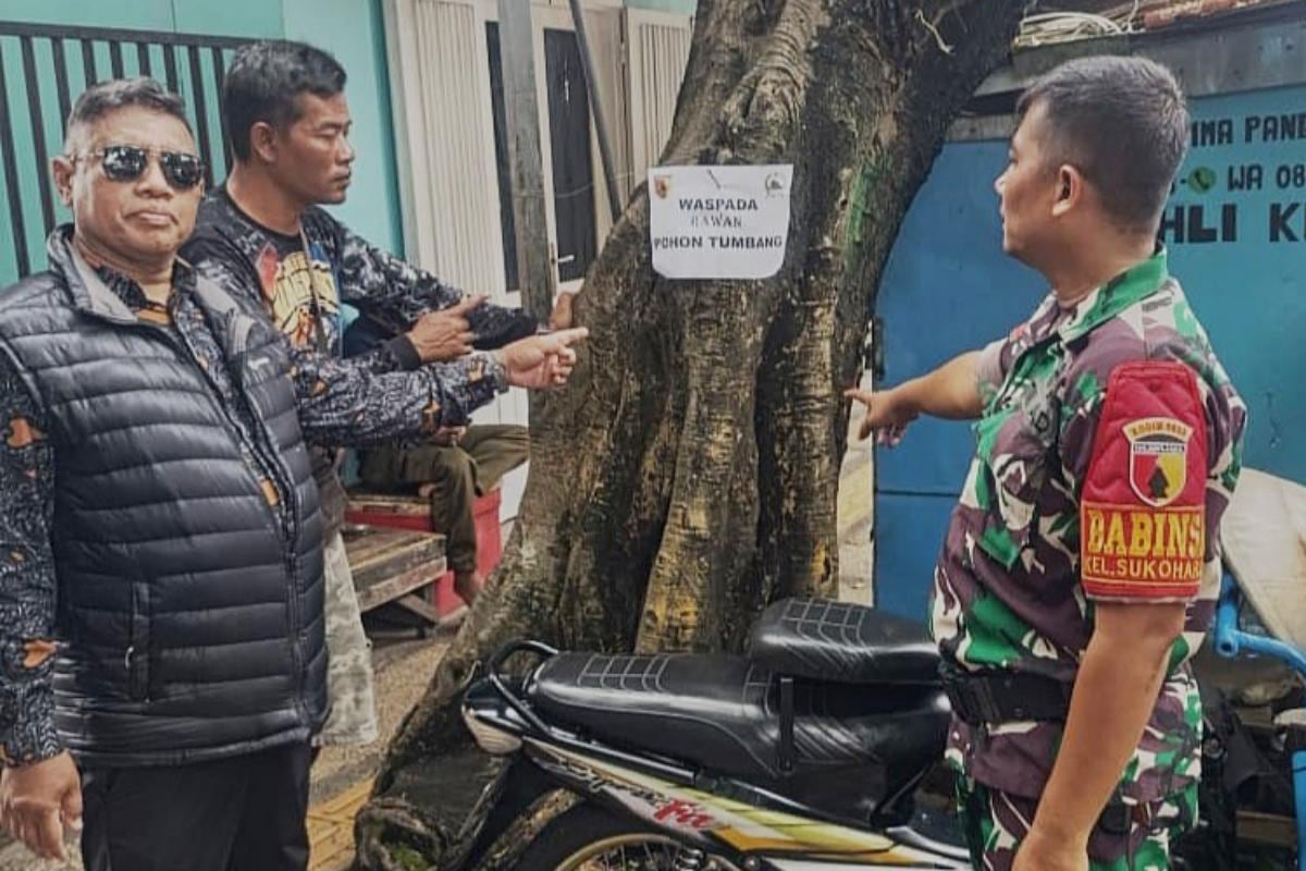 Babinsa Sukoharjo Mitigasi Pasang Tanda Bahaya Pohon Rawan Tumbang
