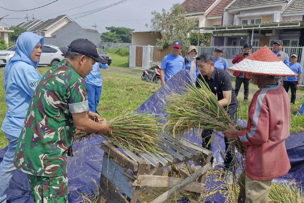 Babinsa Bandungrejosari Dampingi PPL dan Gapoktan Rukun Gawe Santoso Laksanakan Pengubinan Panen Padi