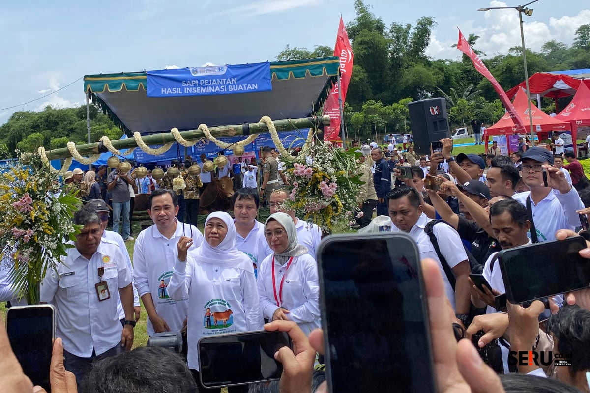 Gubernur Khofifah Sebut Inseminasi Buatan Masif Kunci Swasembada Daging