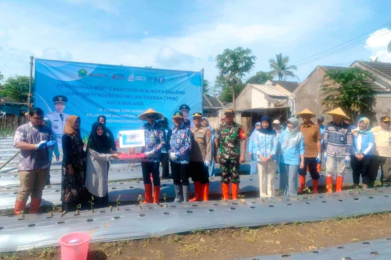Antisipasi Lonjakan Harga Akhir Tahun, Pemkot Malang Galakkan Gerakan Tanam Cabai 1 Antisipasi Lonjakan Harga Akhir Tahun, Pemkot Malang Galakkan Gerakan Tanam Cabai