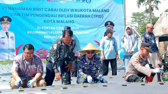 Antisipasi Lonjakan Harga Akhir Tahun, Pemkot Malang Galakkan Gerakan Tanam Cabai