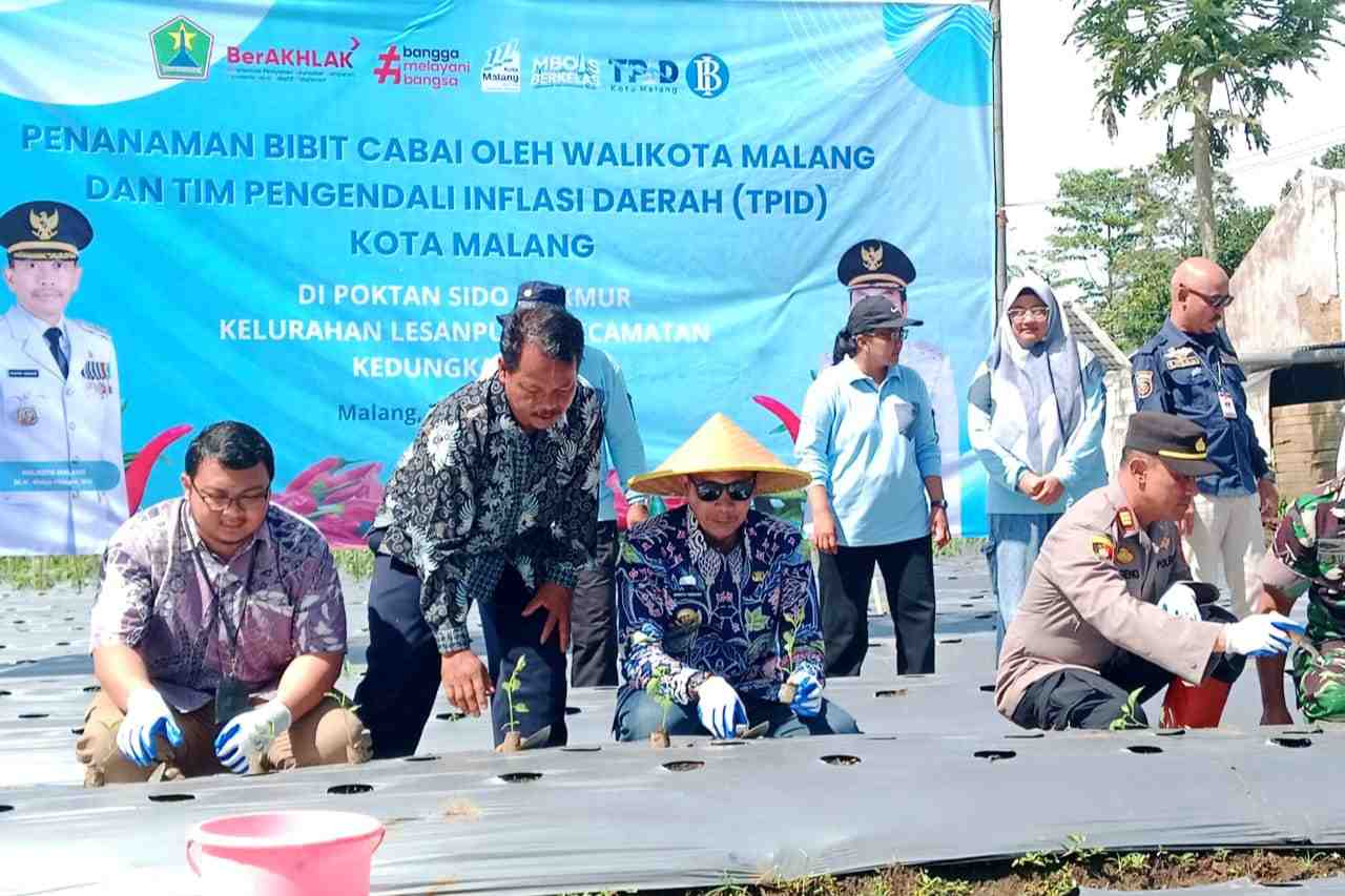 Wali Kota Malang memulai gerakan menanam cabai untuk mengendalikan harga bahan pangan menjelang akhir tahun. (ist)_11zon Antisipasi Lonjakan Harga Akhir Tahun, Pemkot Malang Galakkan Gerakan Tanam Cabai