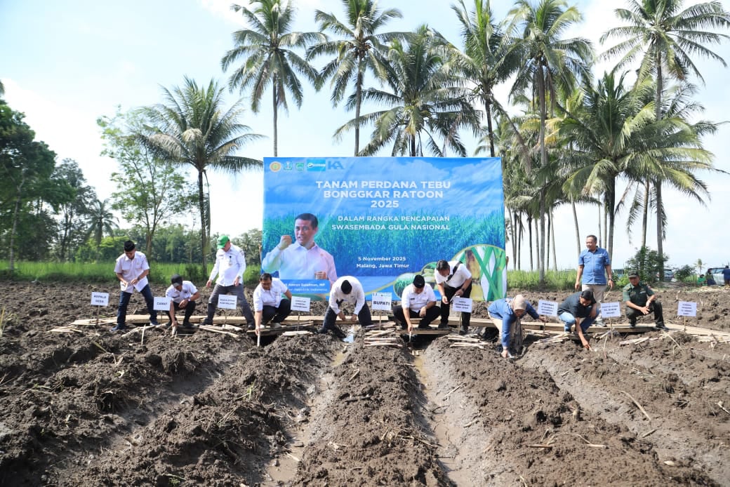 Dukung Swasembada Gula Nasional 2025 dan Hentikan Impor, Kabupaten Malang Lakukan Bongkar Ratoon