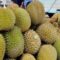 Zulhas Tegaskan Indonesia Lebih Berhak Klaim Durian sebagai Buah Nasional Dibanding Malaysia