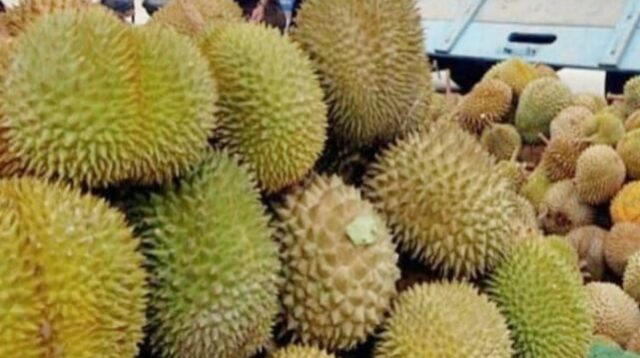Zulhas Tegaskan Indonesia Lebih Berhak Klaim Durian sebagai Buah Nasional Dibanding Malaysia