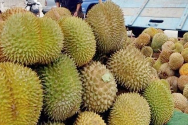 Zulhas sebut produksi durian Indonesia lebih tinggi dari Malaysia Zulhas Tegaskan Indonesia Lebih Berhak Klaim Durian sebagai Buah Nasional Dibanding Malaysia