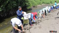 Pemkab Situbondo Bersama LP2M Unej Tanam Ratusan Mangrove di Pesisir Pantai Tanjung Batu