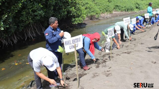 Pemkab Situbondo Bersama LP2M Unej Tanam Ratusan Mangrove di Pesisir Pantai Tanjung Batu