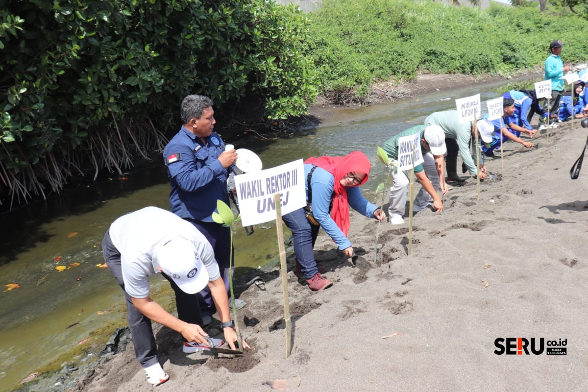 Penanaman ratusan bibit mangrove di kawasan Pantai Tanjung Batu Desa Landanga, Kecamatan Kapongan, Rabu (19/11/2025). (Seru.co.id/aza) Pemkab Situbondo Bersama LP2M Unej Tanam Ratusan Mangrove di Pesisir Pantai Tanjung Batu
