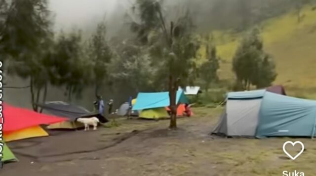 Semeru Erupsi, 137 Pendaki Masih Berada di Ranu Kumbolo