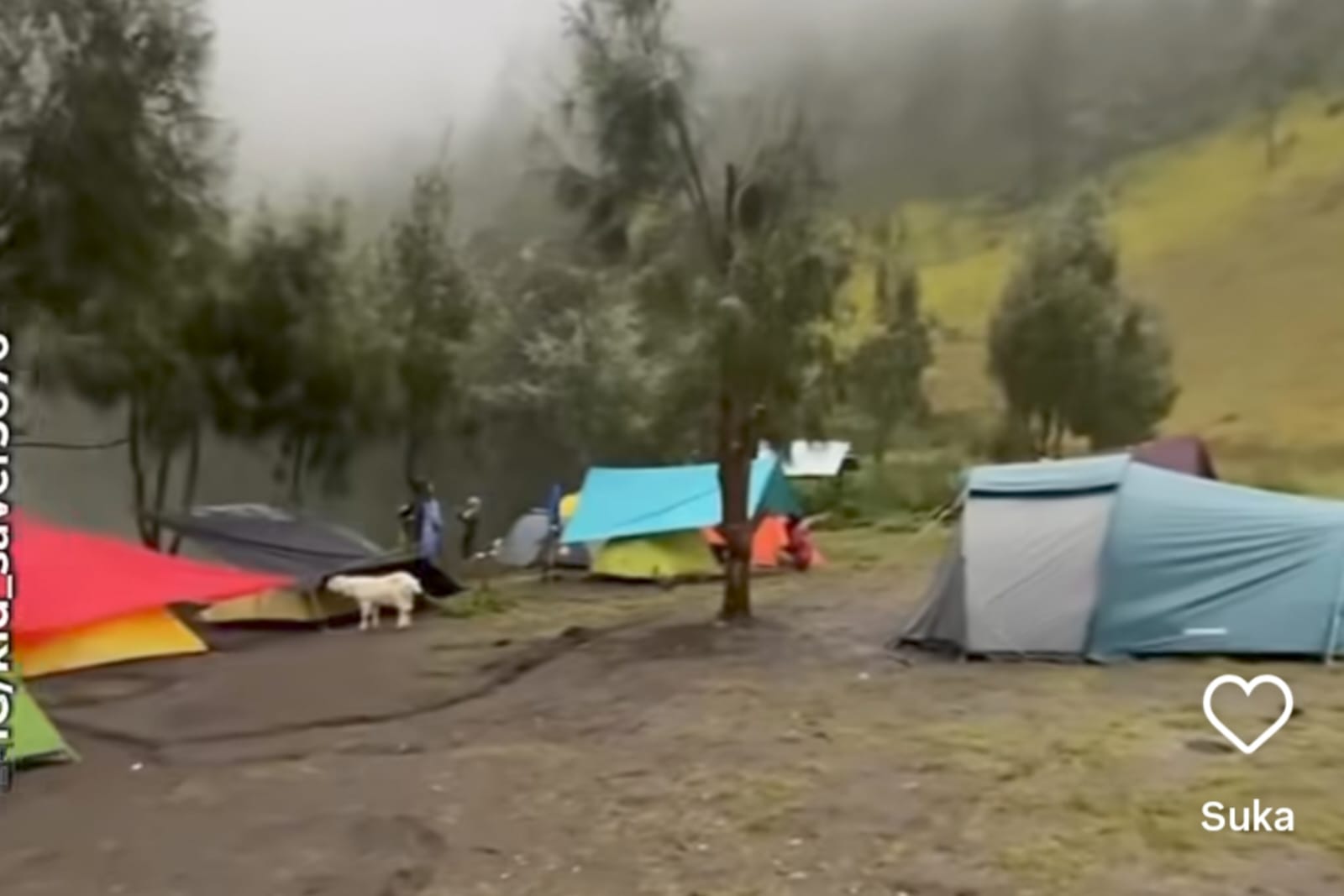 Semeru Erupsi, 137 Pendaki Masih Berada di Ranu Kumbolo