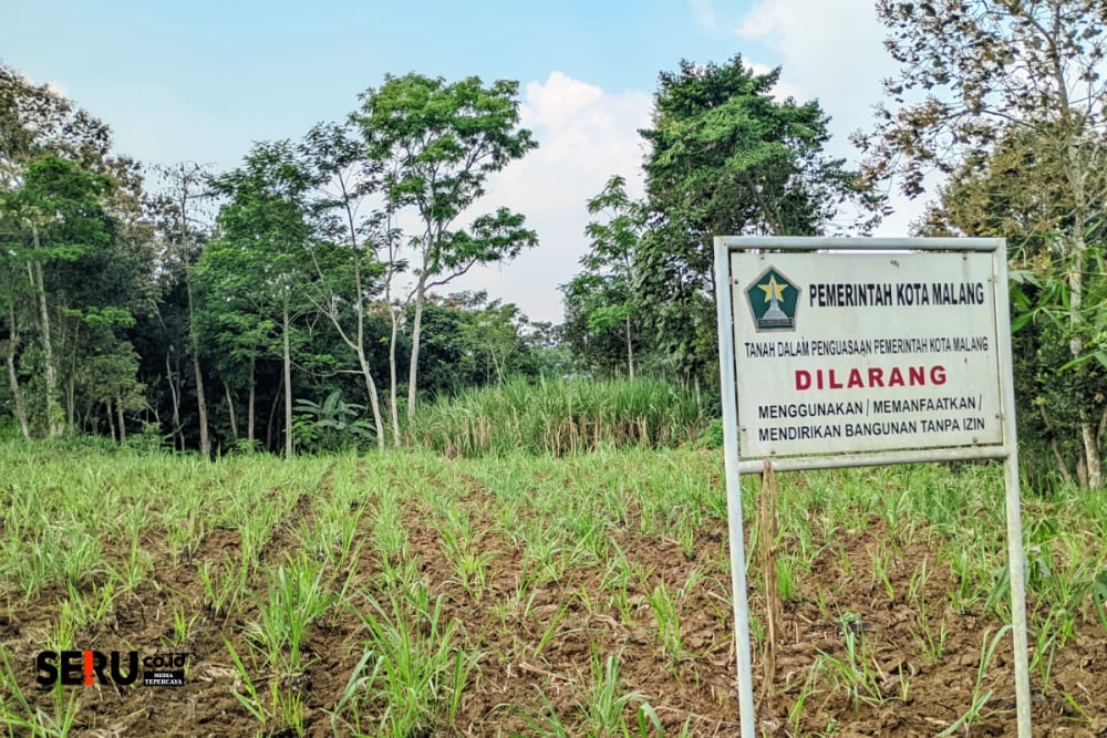 Alih Fungsi Lahan Sawah ke Beton Pemicu Banjir Kota Malang