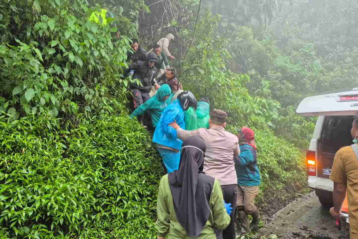 Laka Tunggal di Kawasan TNBTS, Dua Penumpang Fortuner Tewas