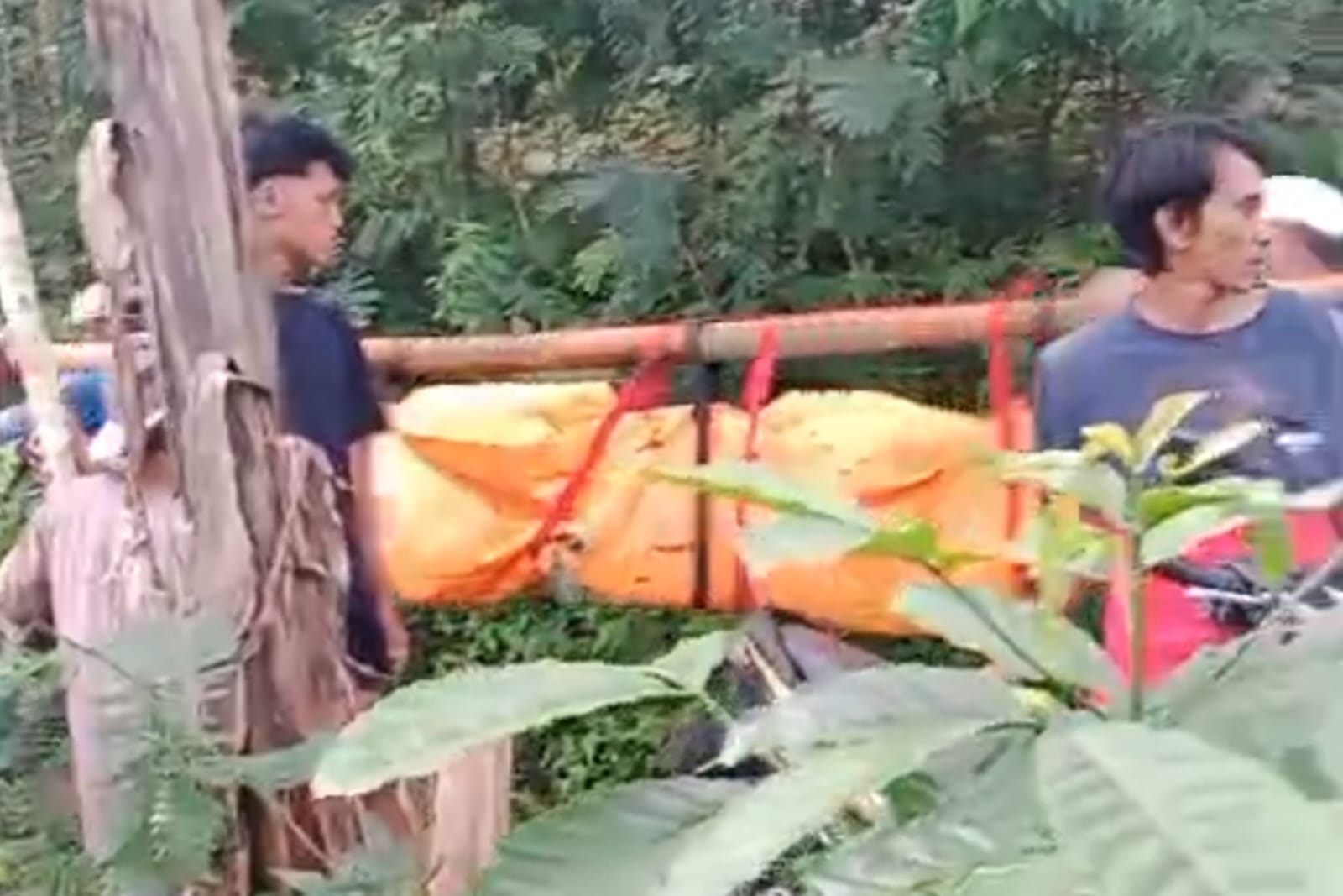 Nenek di Ampelgading Ditemukan Tewas Setelah Hilang Lima Hari saat Mencari Rumput