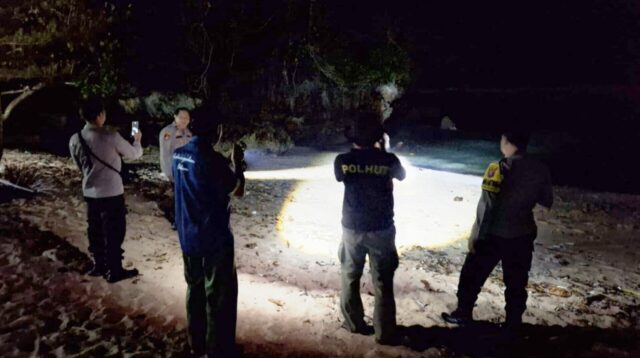 Buaya Muncul di Pantai Ngliyep