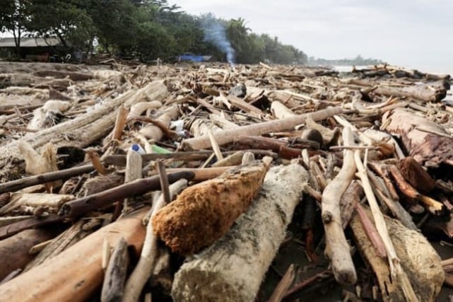 DPR Panggil Menhut Soal Ribuan Kayu Hanyut di Sumatra, Pemerintah Minta Investigasi Tuntas