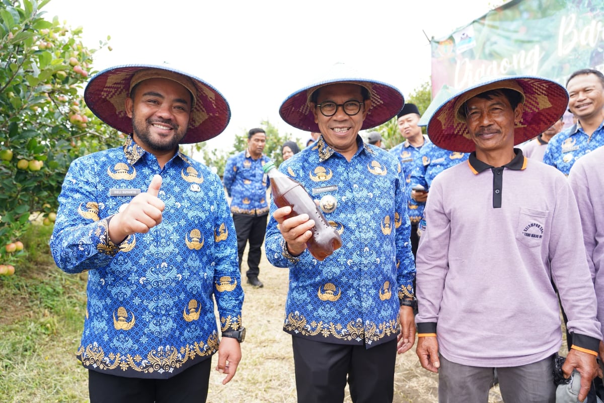 Wali Kota dan Wawali Batu Turun Lapangan, Siapkan Strategi Atasi Penurunan Produksi Apel 1 Wali Kota Batu menunjukkan pupuk organik cair buatan petani setempat untuk peningkatan produksi apel. (ist)