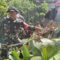 Babinsa Tunggulwulung Bersama Warga Kerja Bakti Pembersihan Aliran Sungai