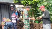 Babinsa Bersama Warga Sukoharjo Kerja Bakti Membuat Green House Lingkungan