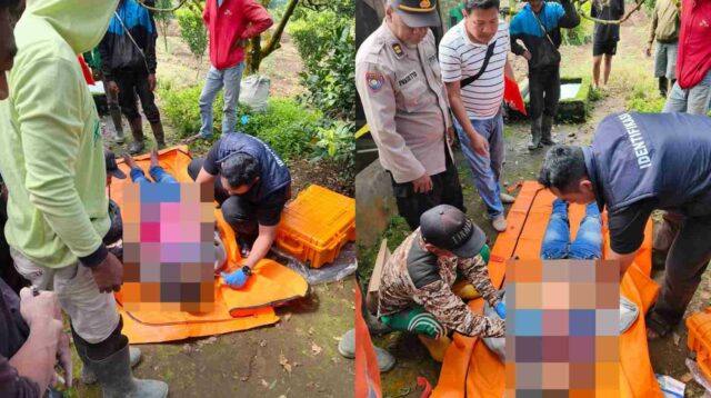 ​Warga Wiyurejo Digegerkan Penemuan Jenazah Petani Tergantung di Gubuk Kebun Apel