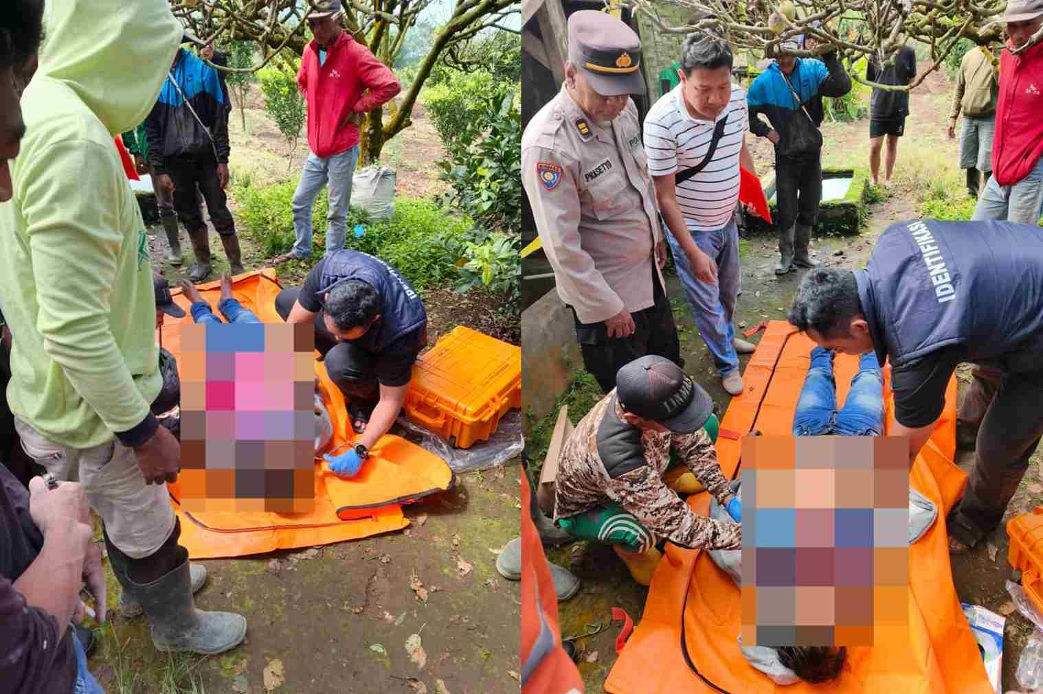 ​Warga Wiyurejo Digegerkan Penemuan Jenazah Petani Tergantung di Gubuk Kebun Apel