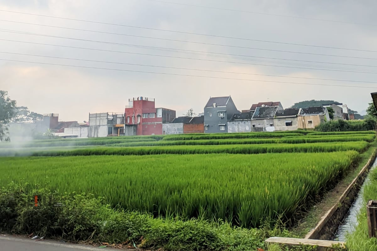 Batasi Alih Fungsi Lahan, Pemkot Malang Verifikasi Data Lahan Sawah Dilindungi