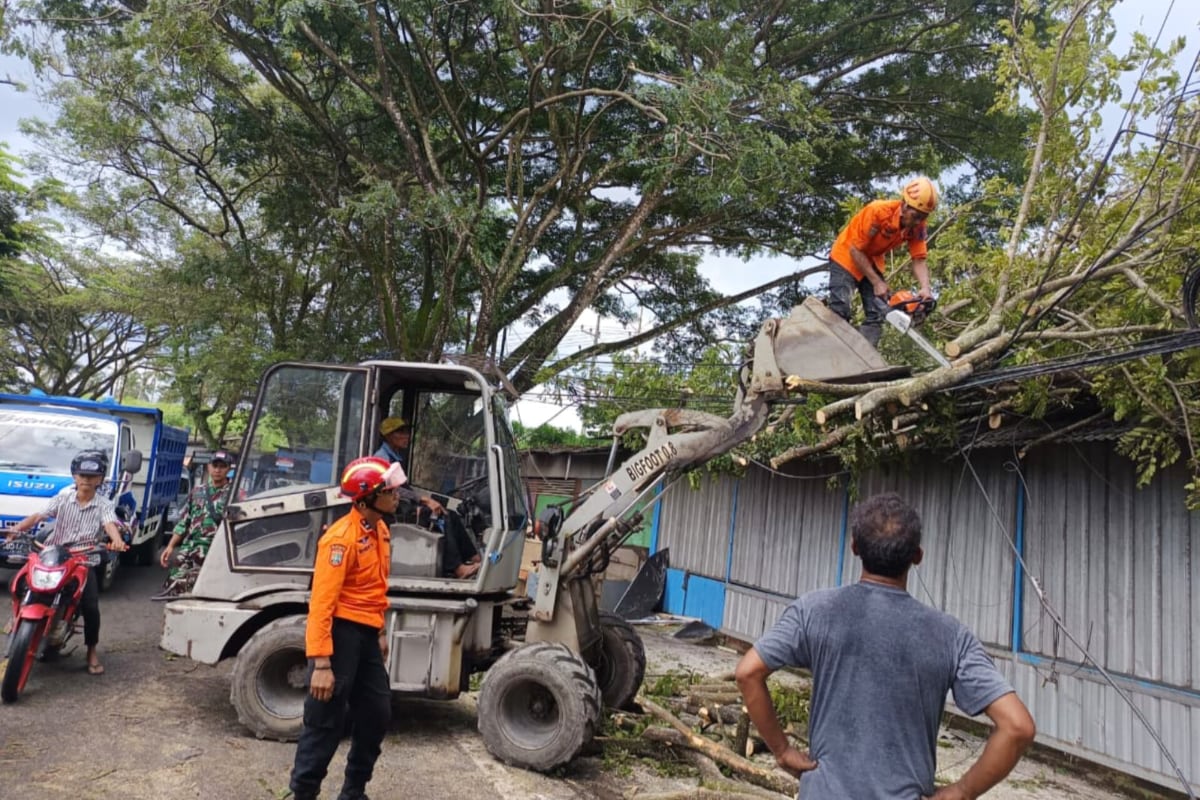 BMKG: Waspada Jawa Timur Berpotensi Cuaca Ekstrem 21-30 Januari 2026