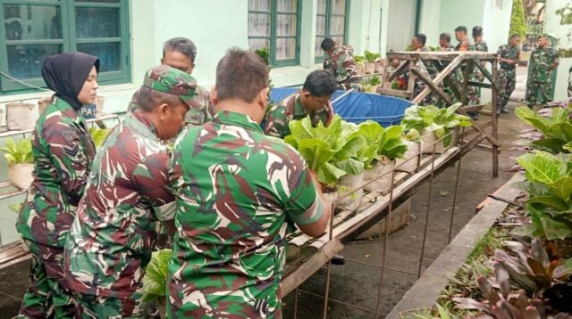 Kodim 0833 Panen Sawi dalam Polibag, Wujud Ketahanan Pangan di Lahan Terbatas