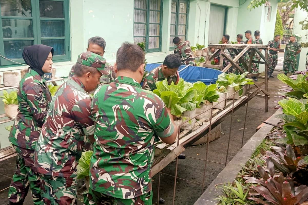 Kodim 0833 Panen Sawi dalam Polibag, Wujud Ketahanan Pangan di Lahan Terbatas