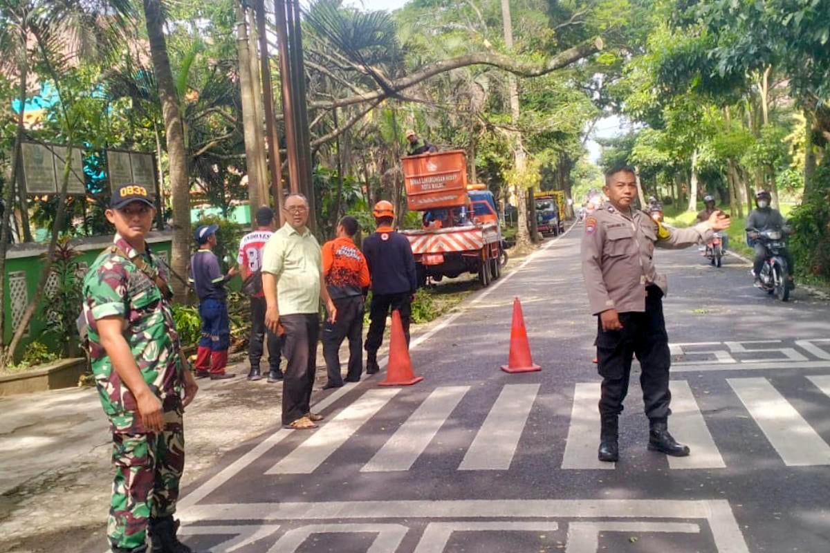 Babinsa Tlogowaru bersama Bhabinkamtibmas Amankan Pohon Tumbang